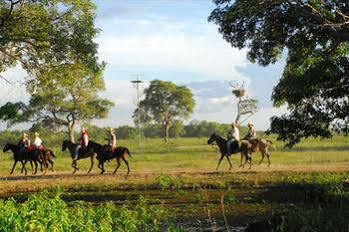 Southwild Pantanal Lodge Poconé Exteriér fotografie